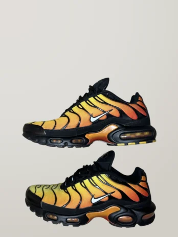 TN Tiger – air max plus – Taille 42